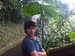 IMG00210-20100720-1522