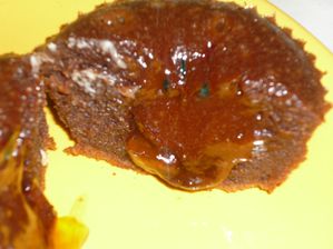 P1010493