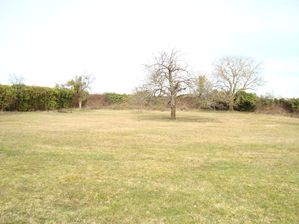 DSC00867