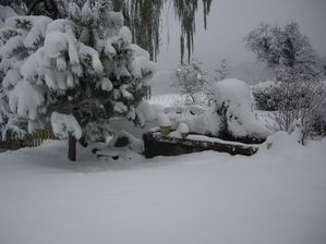 neige du 1 décembre 2010 006
