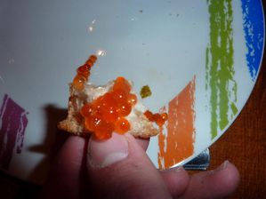 petit-pepsie-caviar-crepuscule-062.jpg