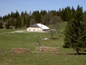 36 ferme dans la clairière