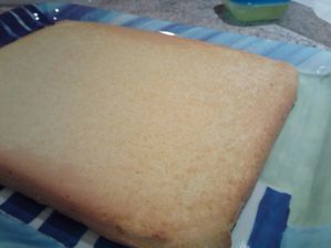 IMG020.jpg