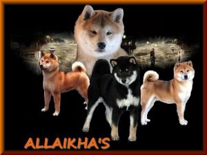 Allaikha-s.jpg