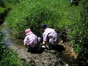 PICT0067