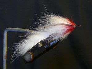P1100283