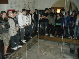 divers 049