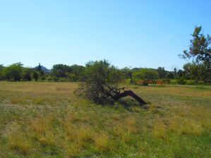 alpilles3-043.JPG