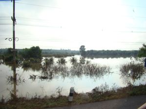 Inondations-Suratthani--11-.JPG