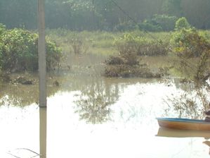 Inondations-Suratthani--12-.JPG