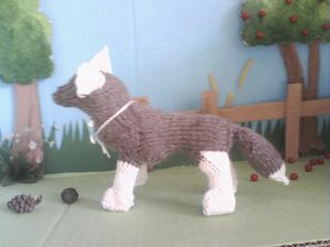 loup0.4.jpg