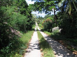 IMG_2190.jpg