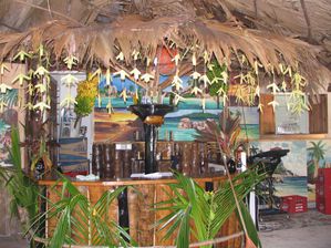IMG_2479.jpg