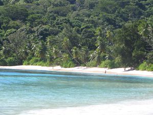 IMG_2839.jpg