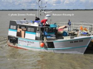 jouet-de-l-ocean