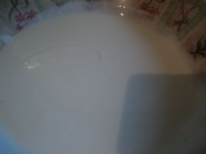 DSC03495.JPG