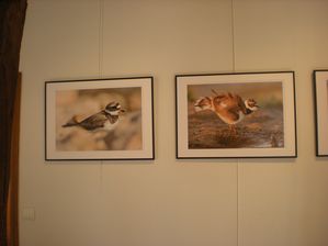 Jean-Claude-Picard-et-penelope-Roger-050.JPG
