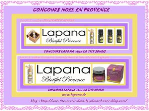 BANNIERE CONCOUR NOEL EN PROVENCE