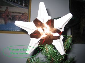 Etoile-de-Noel-recyclee-boite-a-oeufs.jpg