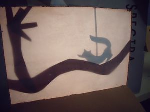 DSCF5180