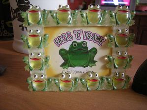 grenouille-cadre.JPG