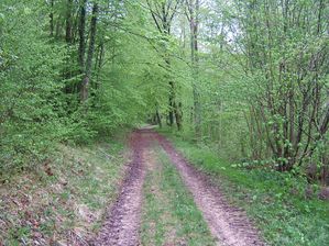 DSCF9313