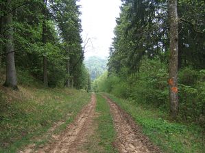 DSCF9324.JPG