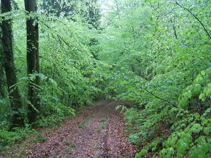 DSCF9326.JPG