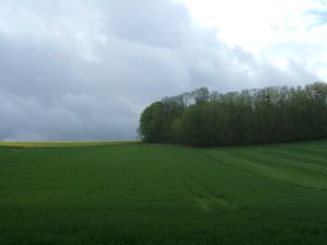 DSCF9330.JPG
