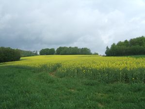 DSCF9332.JPG