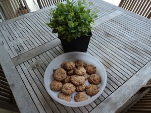 biscuits-congolais-noix-de-coco-noisettes-003.jpg