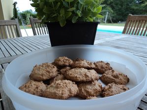 biscuits-congolais-noix-de-coco-noisettes-004.jpg