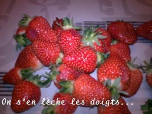 fraise2.jpg