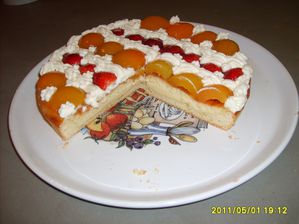 005-copie-4