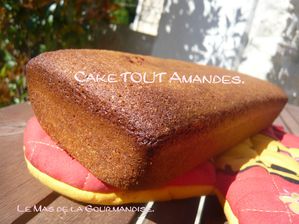 cake tout amandes 1