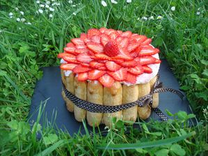 Charlotte-aux-fraises-Gariguettes--4-.JPG