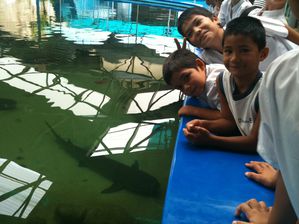 Aquarium 0813
