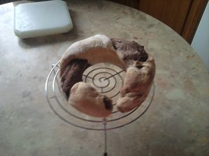 BRIOCHE MARBRE APRES CUISSON