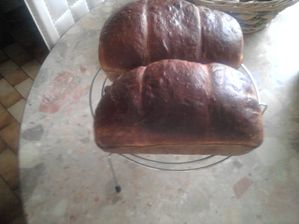 brioche aux petits suisses cuite