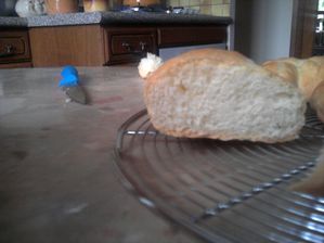 interieur-brioche-1.jpg