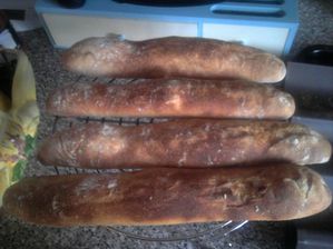 BAGUETTES PARISIENNE APRES CUISSON 2