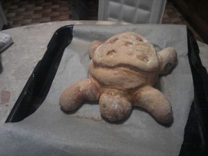 PAIN TORTUE APRES CUISSON2
