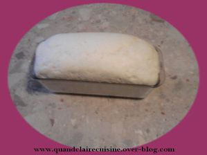 PAIN-DE-MIE-APRES-REPOS-copie-1.jpg