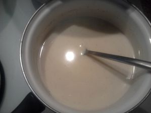 BECHAMEL LIGHT