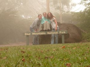 056 Blue Mountains National Park
