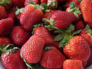 fraises.jpg