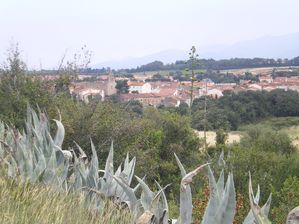 IMGP3540.JPG