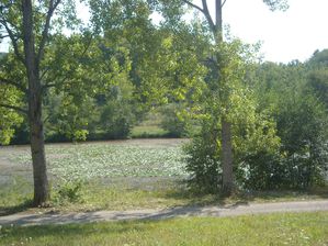 sept-09-007.jpg