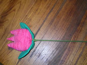 PICT0008--2-.JPG