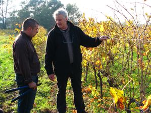 DOMAINE-COUR-ST-VINCENT-DE-BARBEYRARGUES 9698